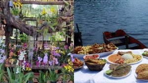 Festival da Tilápia e das Orquídeas Serra Shows gratuitos Sorteios