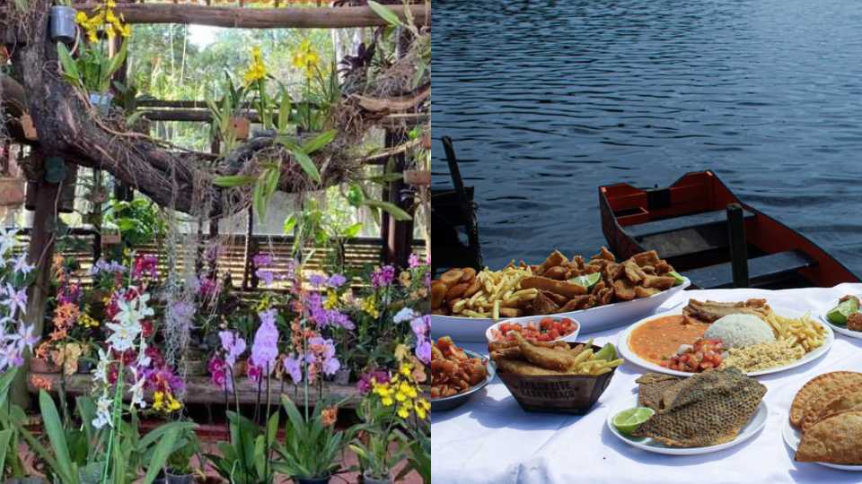 Festival da Tilápia e das Orquídeas Serra Shows gratuitos Sorteios