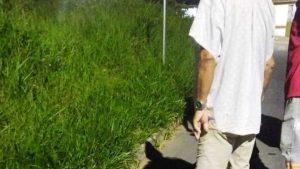 Homem Bandidos armados Serra