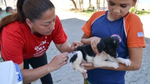 Vacinação contra raiva Serra Cães e gatos Shoppings