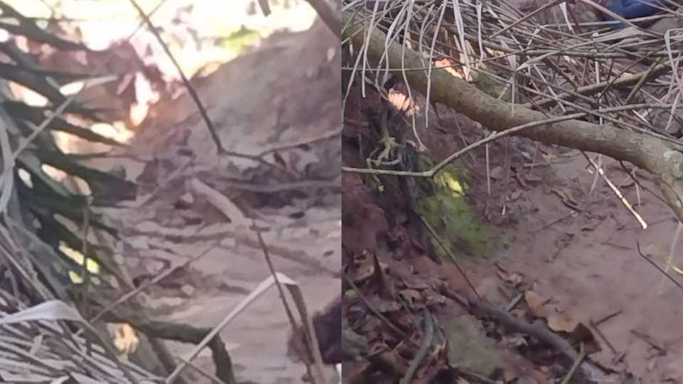 Mulher Assassinada Serra Praia