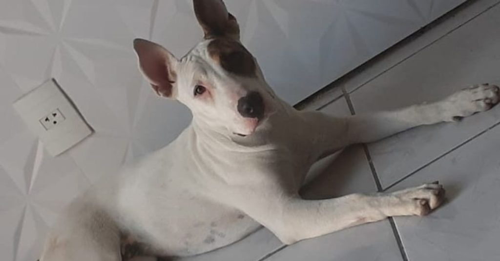Athena