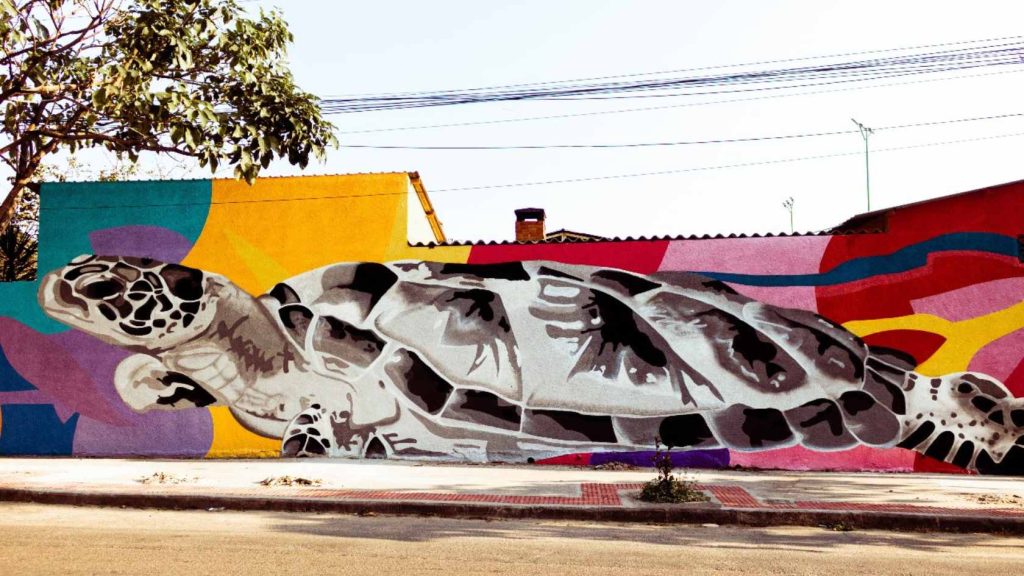 muro