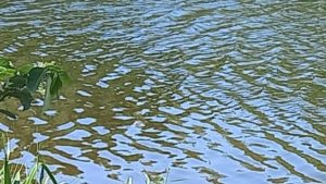 Serra Lagoa Corpo de homem Tiros