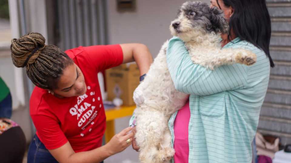 Vacinação contra raiva Serra