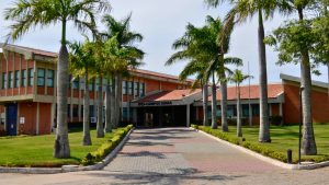 Ifes cursos gratuitos