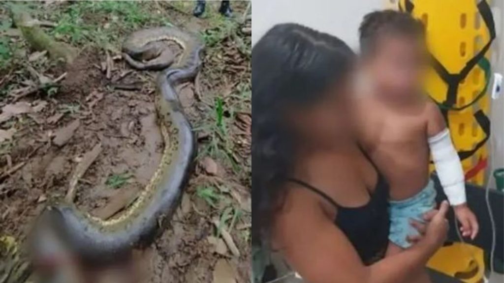 Menino Cobra Sucuri