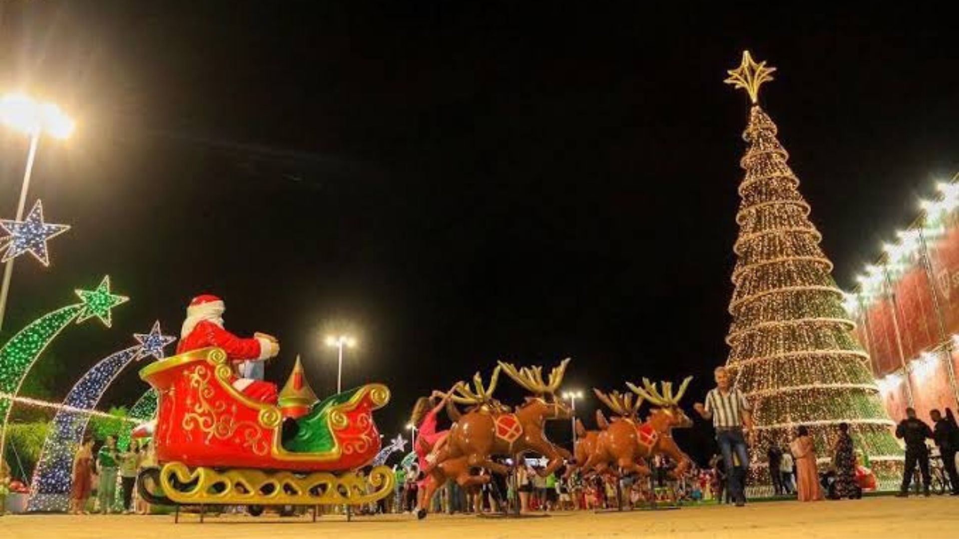 Serra Natal Árvore Decoração Parque da Cidade