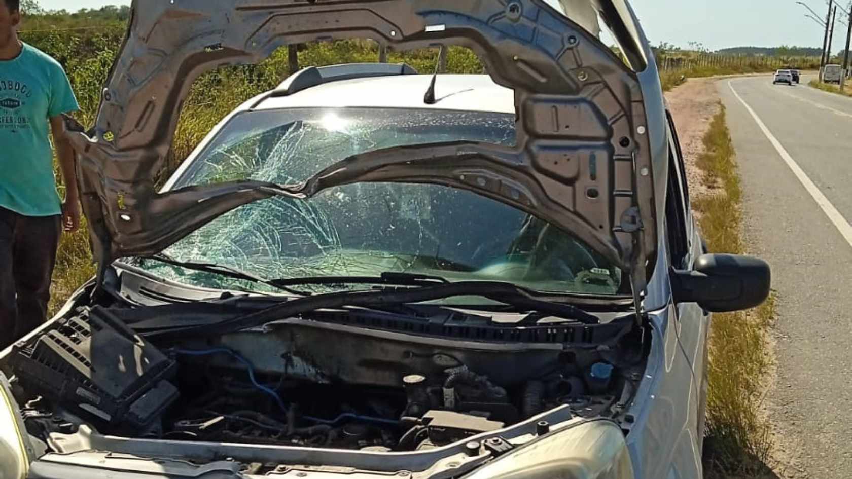 Design sem nome (3) van idoso