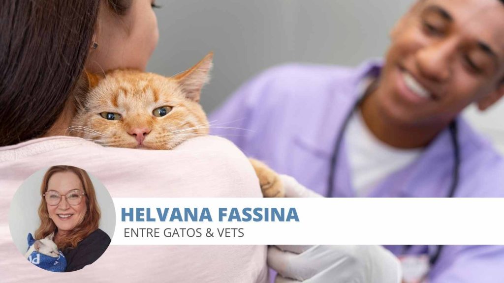 Câncer em felinos