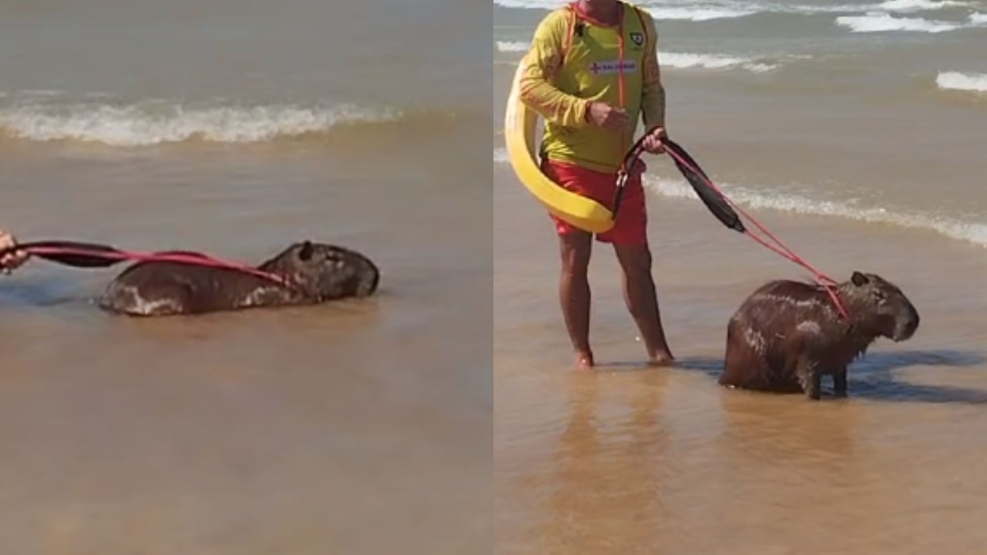 Serra Capivara Mar Praia