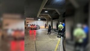 Serra Rodoviária Assaltante Vigilante