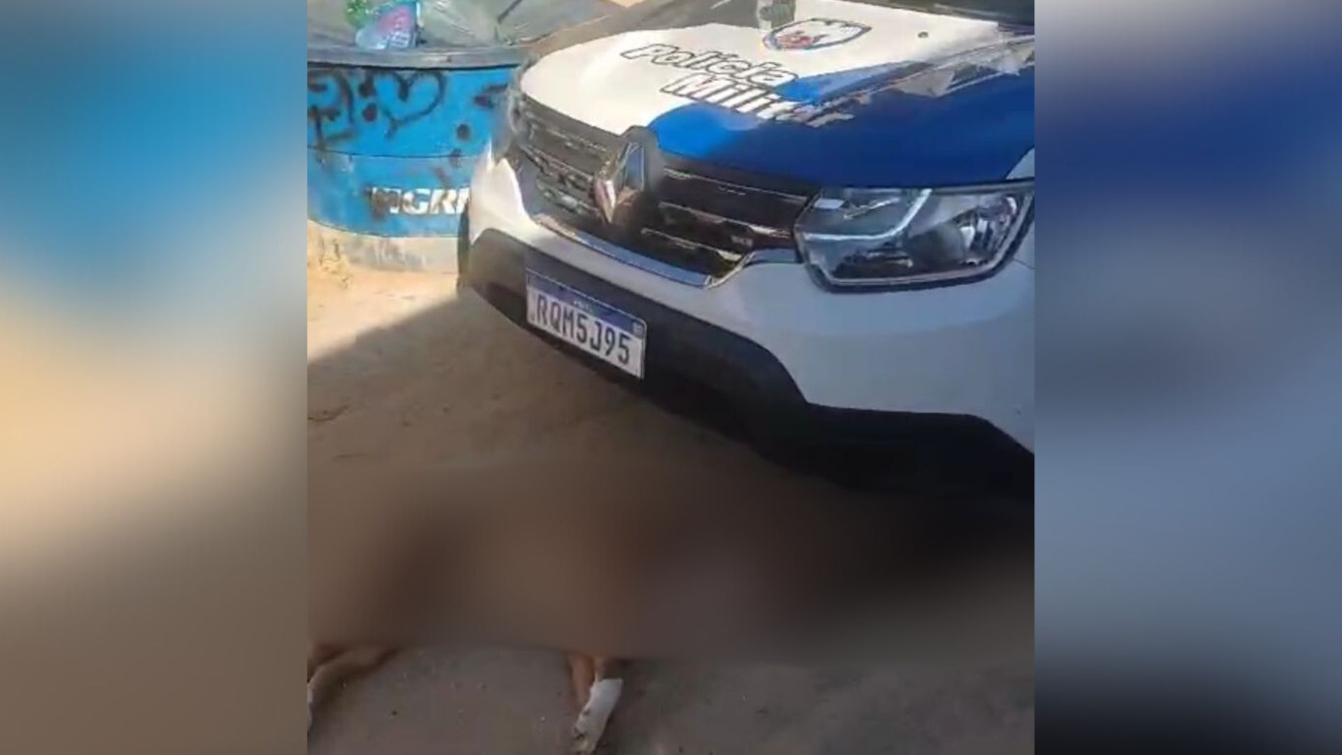 Cachorro Pitbull Serra Policial Tiro
