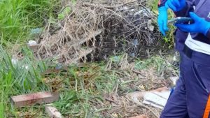 Serra Homem em situação de rua Morto Pauladas