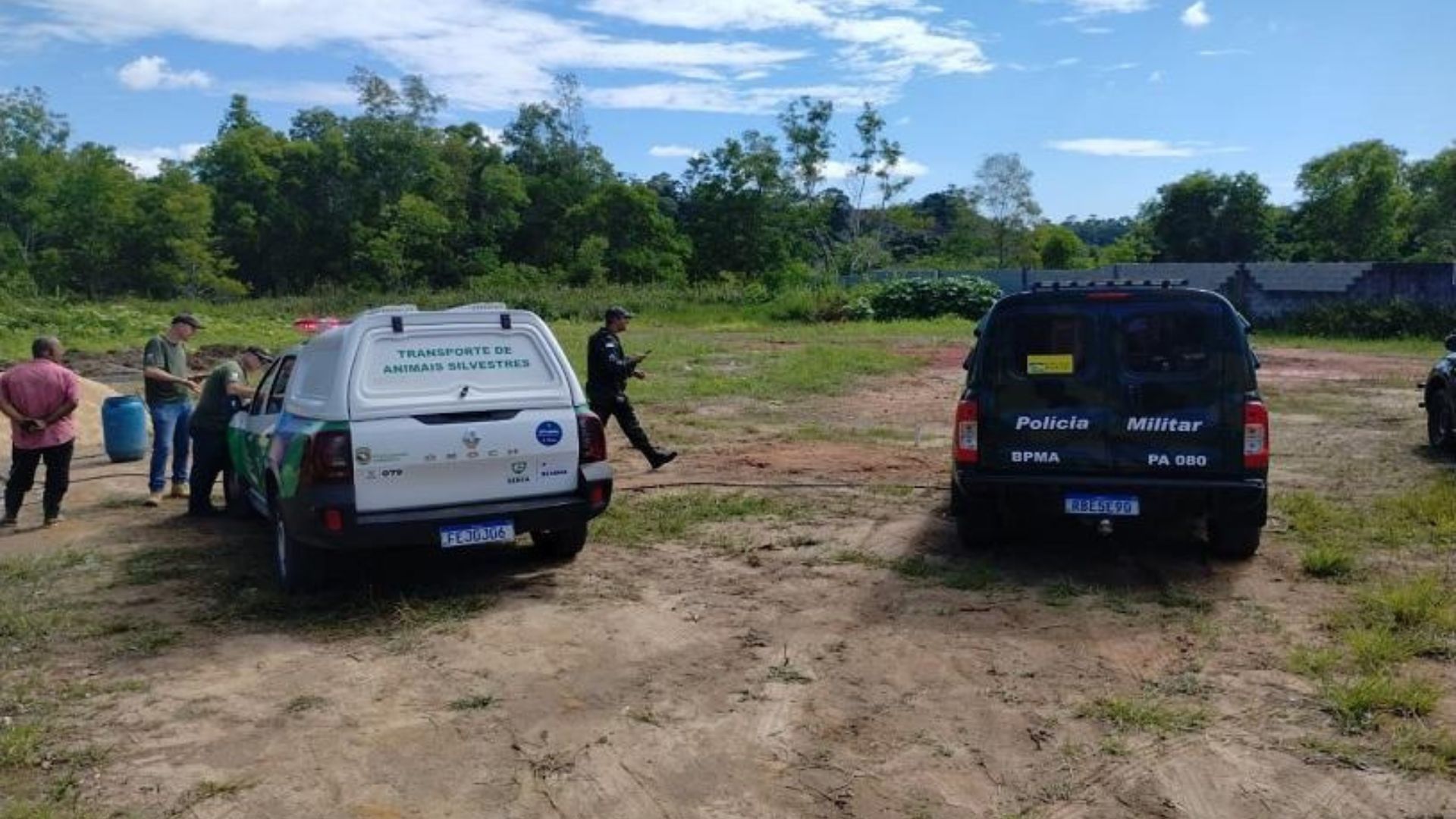 Fiscalização Ambiental Morador da Serra Invasão