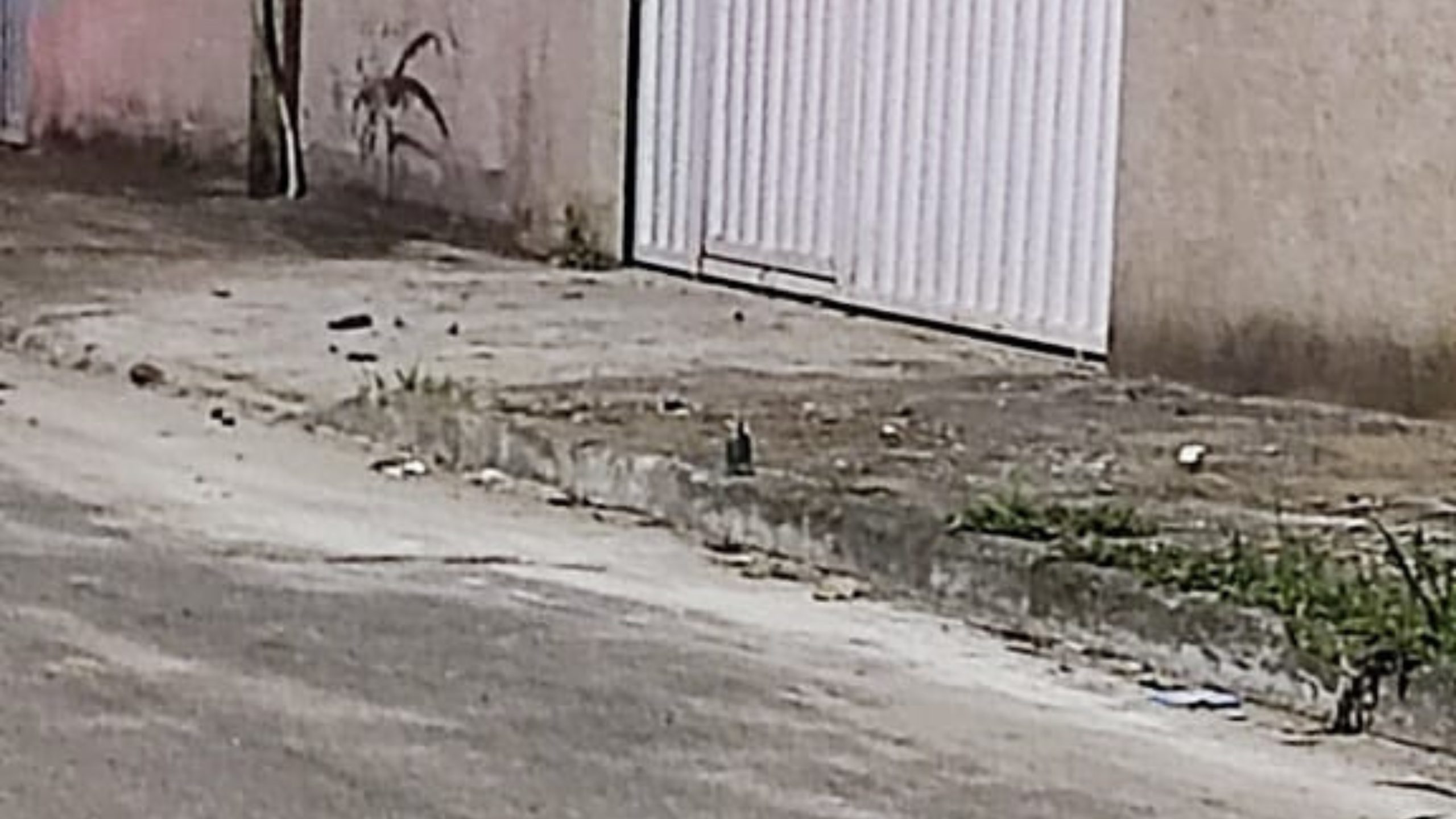 Granada Serra Homem Esquadrão Antibombas