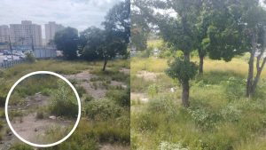 Terreno Brenmekanp Serra Dengue