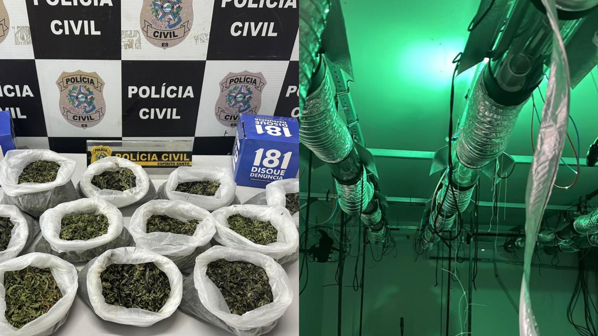 Polícia Maconha Laboratório
