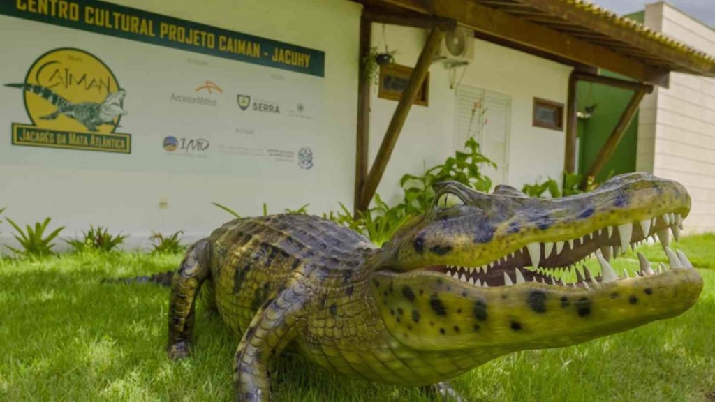 Caiman
