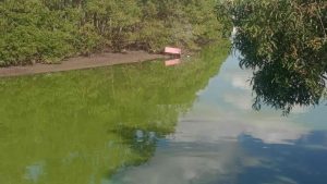 rio Jacaraípe Serra