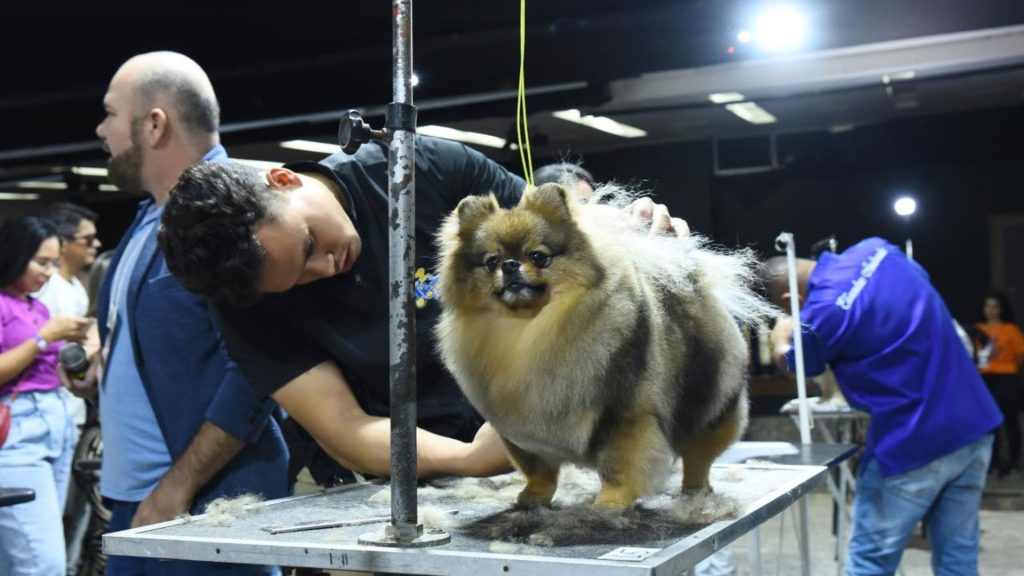 Serra Evento pet