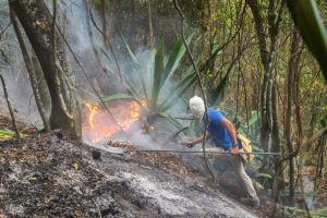 Mestre Álvaro voluntários