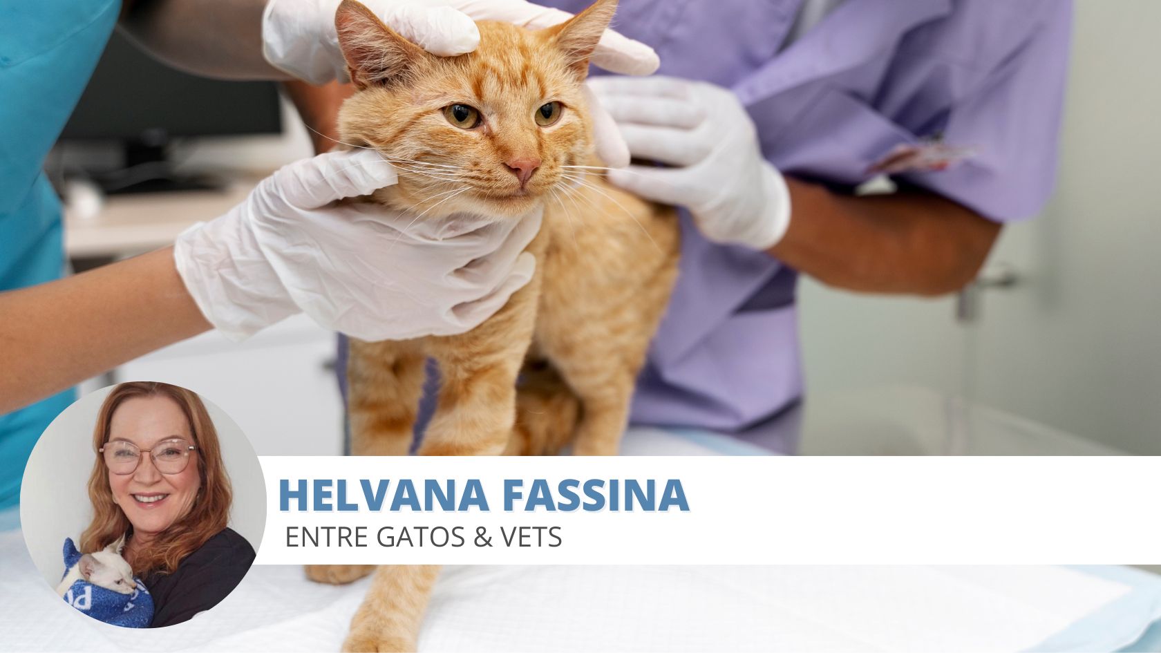 Síndrome Ovário Remanescente