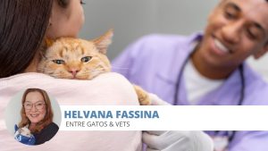 medicina felina