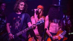 Calibri Rosas cervejaria