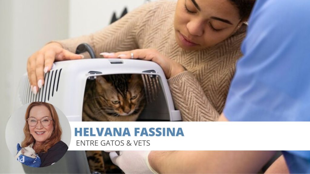 eutanásia
