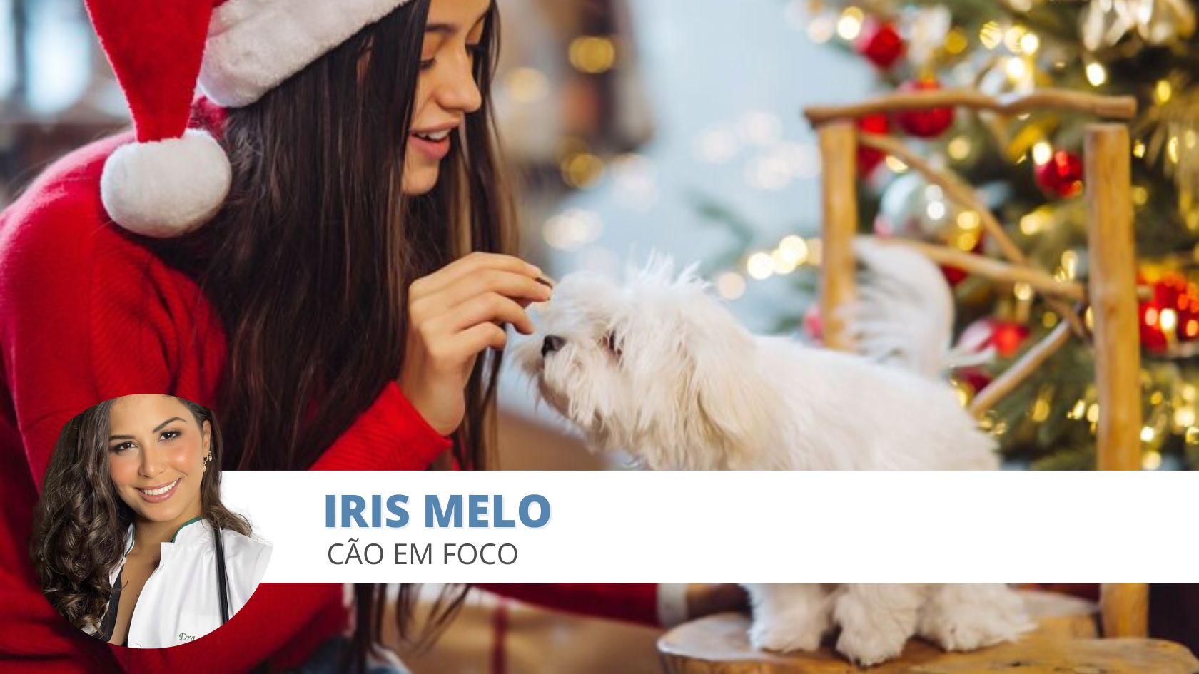 comidas tóxicas Natal