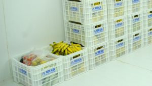 toneladas Serra alimentos