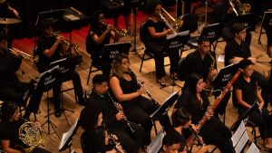 Sinfônica Vale Música