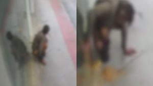 Homem Serra Fezes Loja Laranjeiras