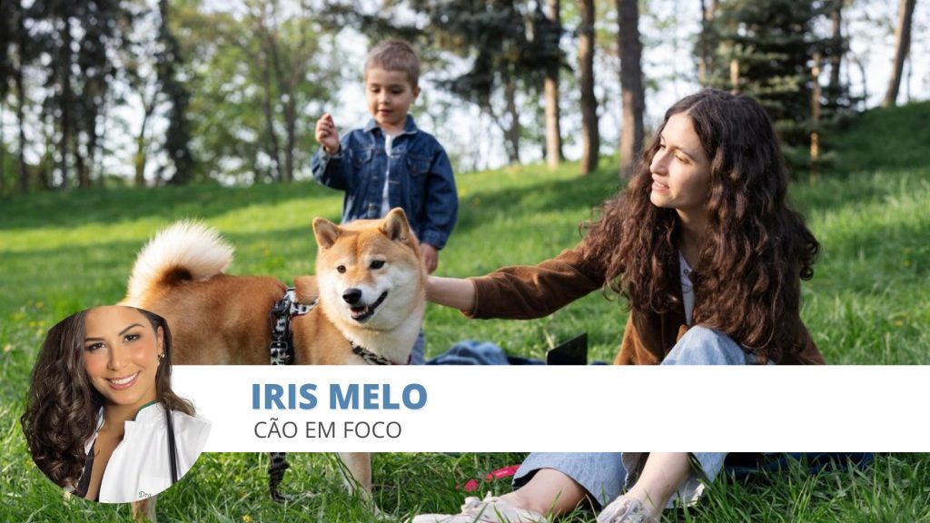 socialização canina