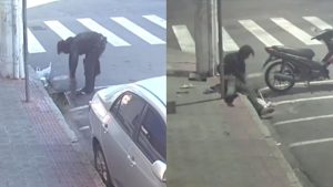 Laranjeiras Serra Homem Lojas