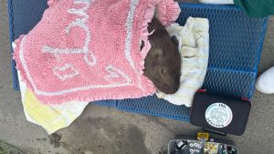 Serra Capivara BR-101