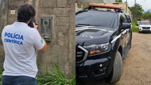 EDP Serra Energia Gato Empresário