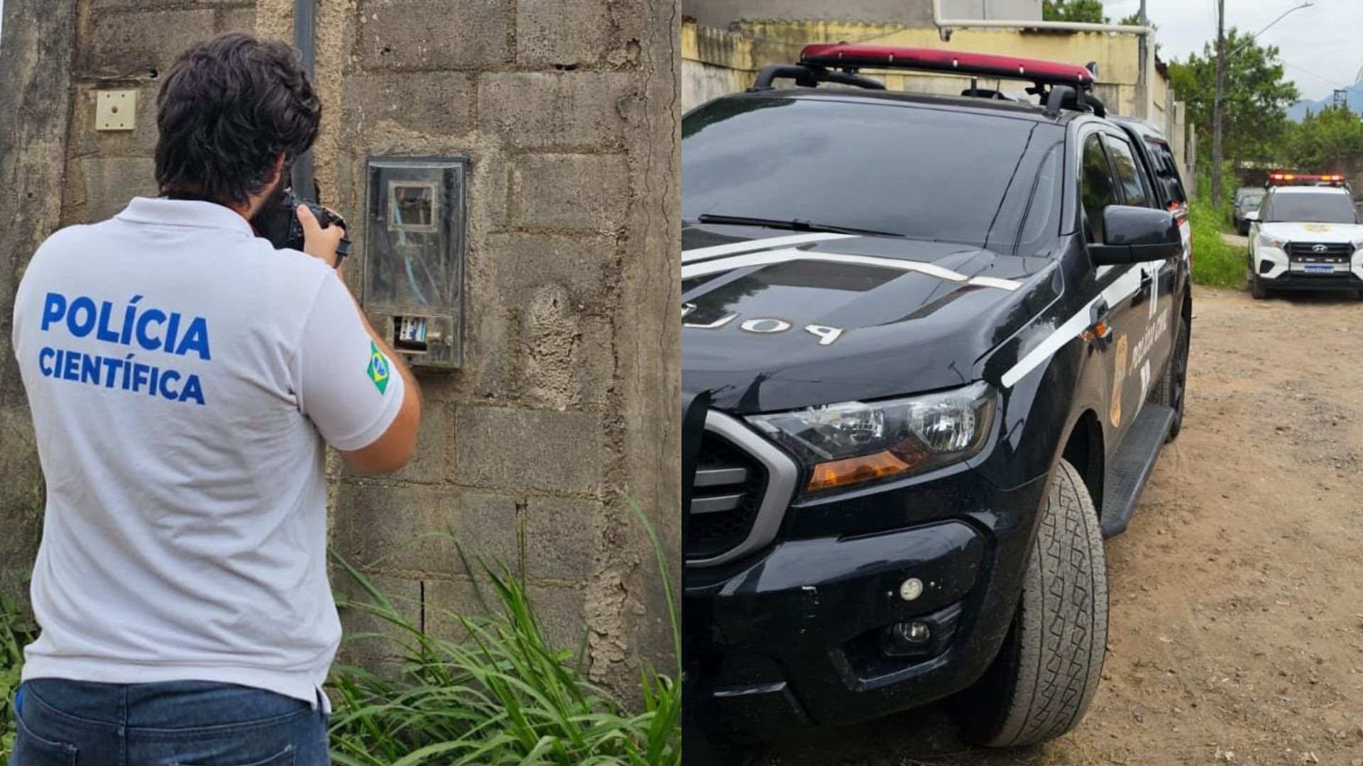 EDP Serra Energia Gato Empresário