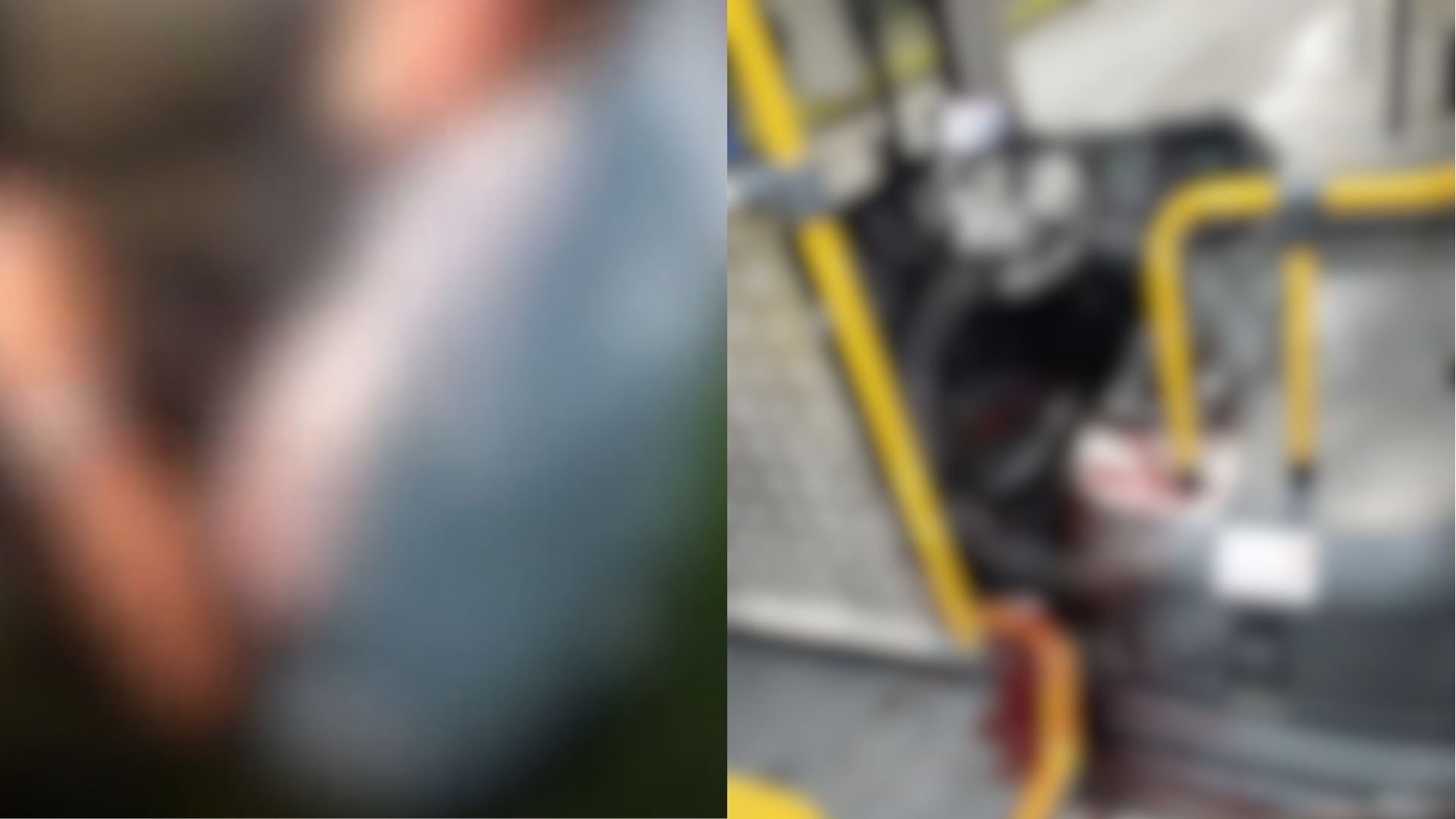 Serra Ônibus Transcol Motorista