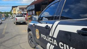 Serra Gato de energia Dono de hortifruti