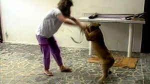 Serra Moradora Leão Dentro de casa