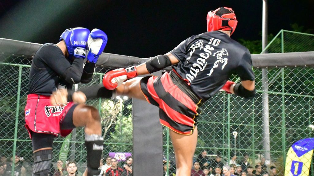 MMA profissional