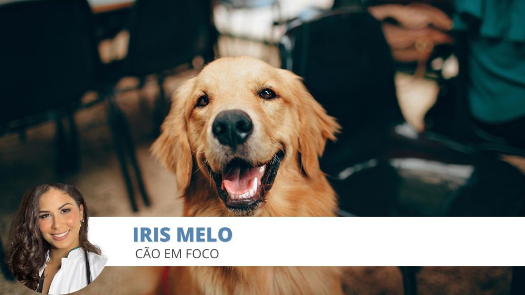 feliz