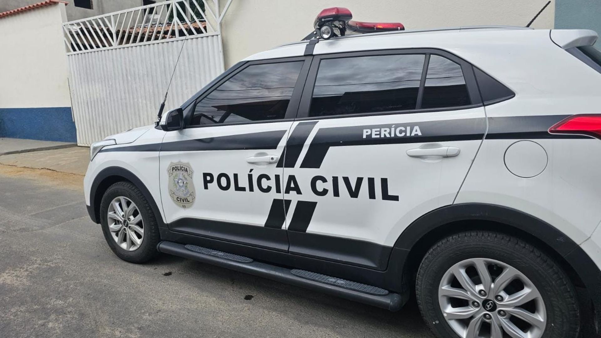 Gato de energia Serra Empresário