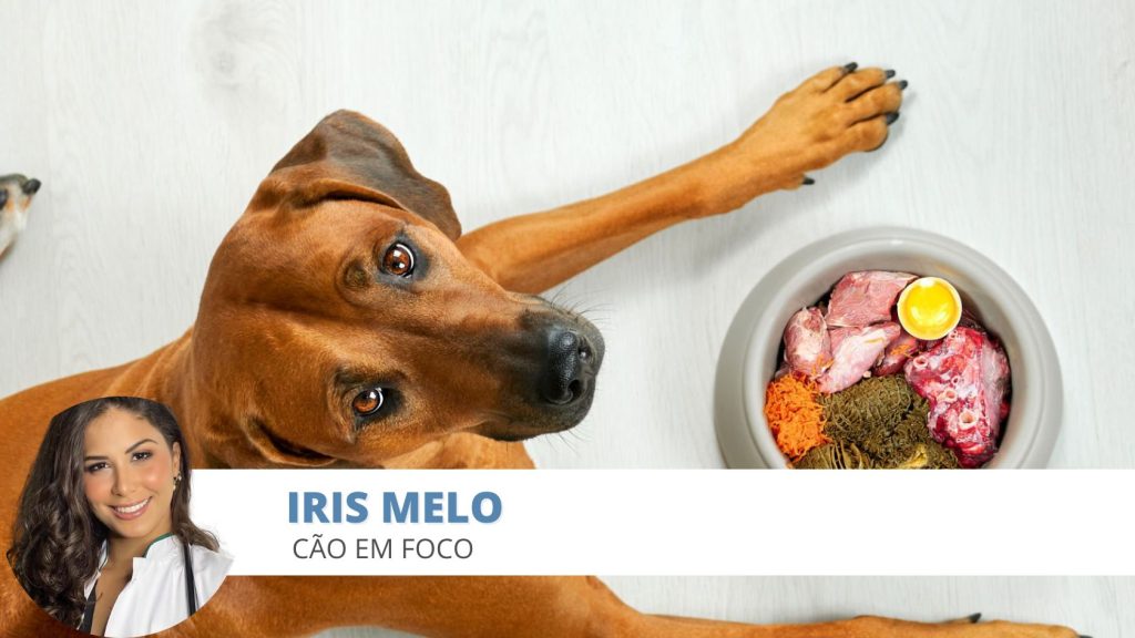 comida caseira
