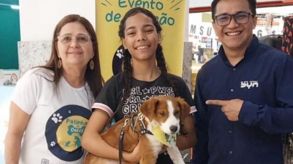 feira adoção