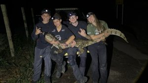 Serra Jacaré Sanguessugas