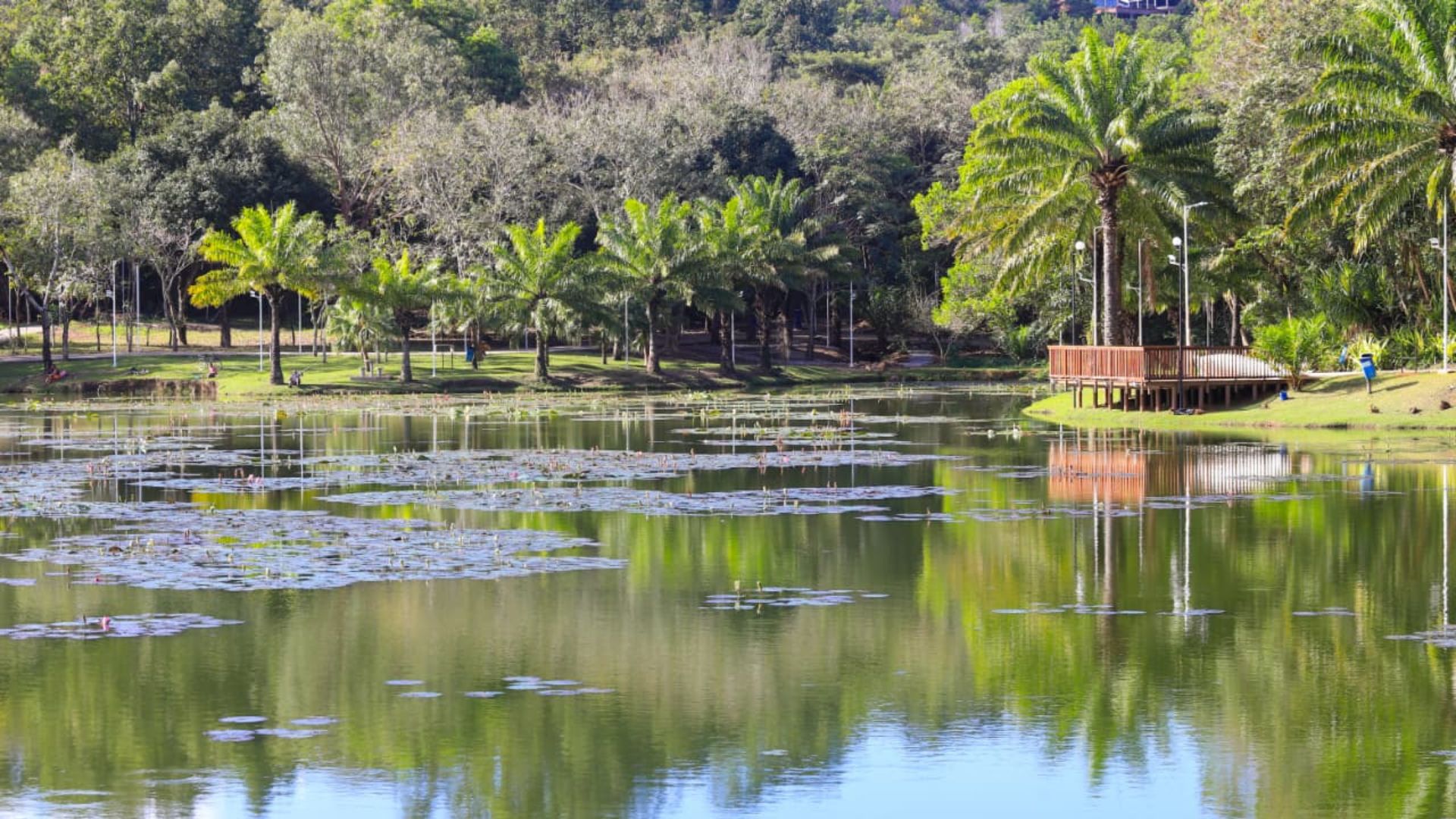 Jardim Botânico Serra Sede