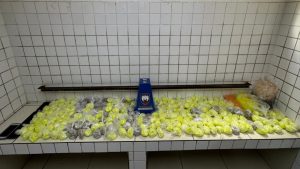 Serra Polícia Militar